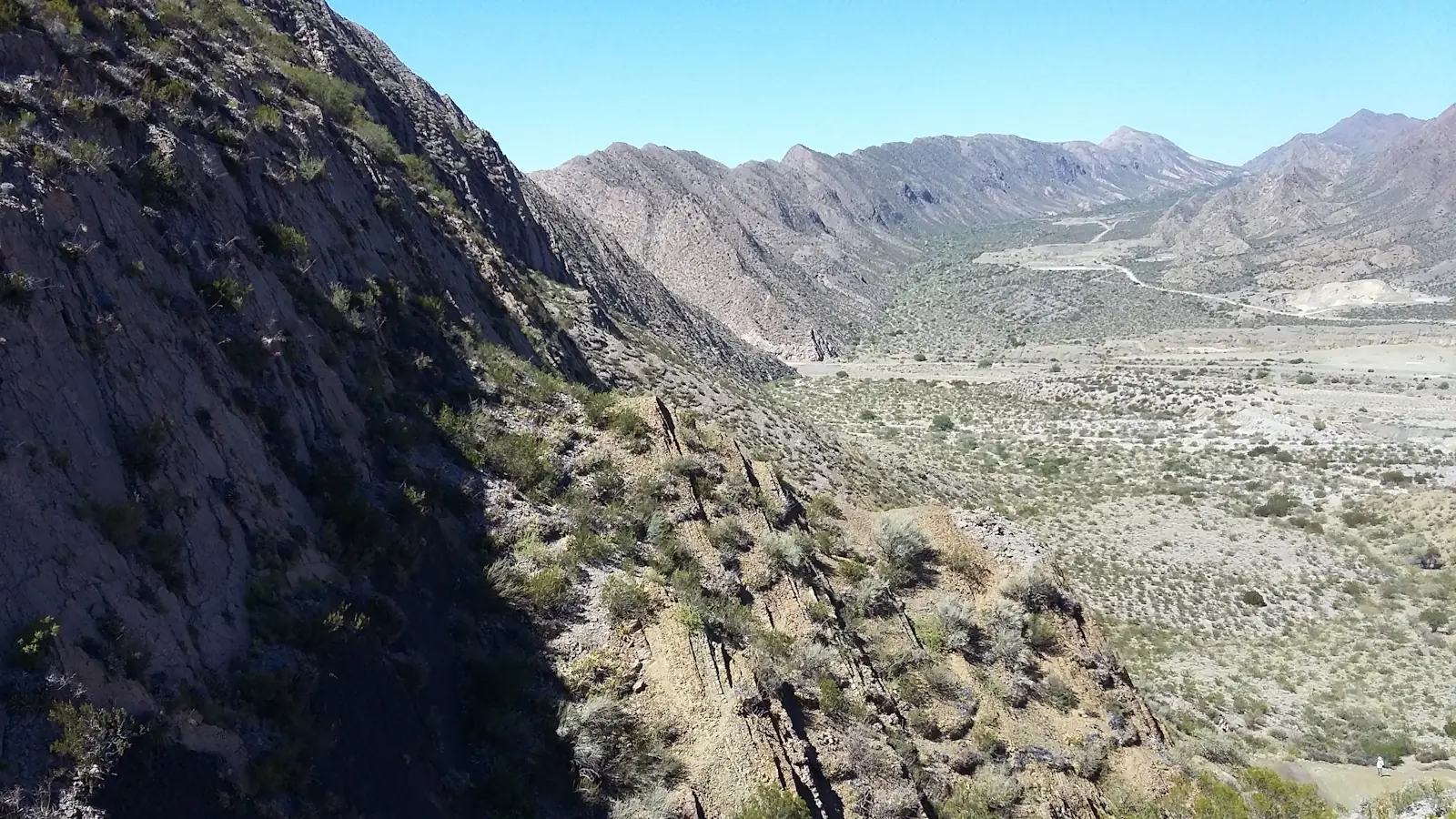 Arquitectura y evolución del Ordovícico–Silúrico de Talacasto: una aproximación integral con base bioestratigráfica