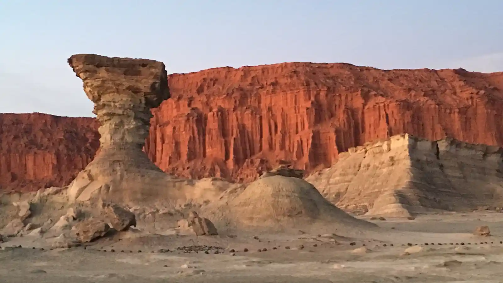 Evolución paleoambiental y diversidad de vertebrados del Triásico Superior en el Parque Provincial Ischigualasto (San Juan, Argentina)