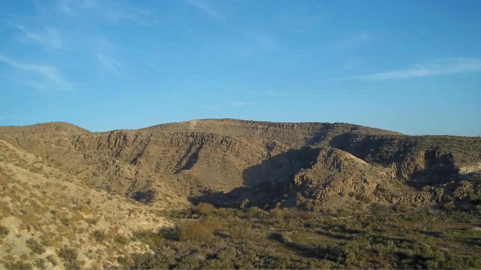 De Rodinia a Gondwana: evidencias lito-estructurales de la evolución proterozoica – paleozoica inferior, sobre el flanco occidental de la sierra de Pie de Palo, Sierras Pampeanas Occidentales de San Juan